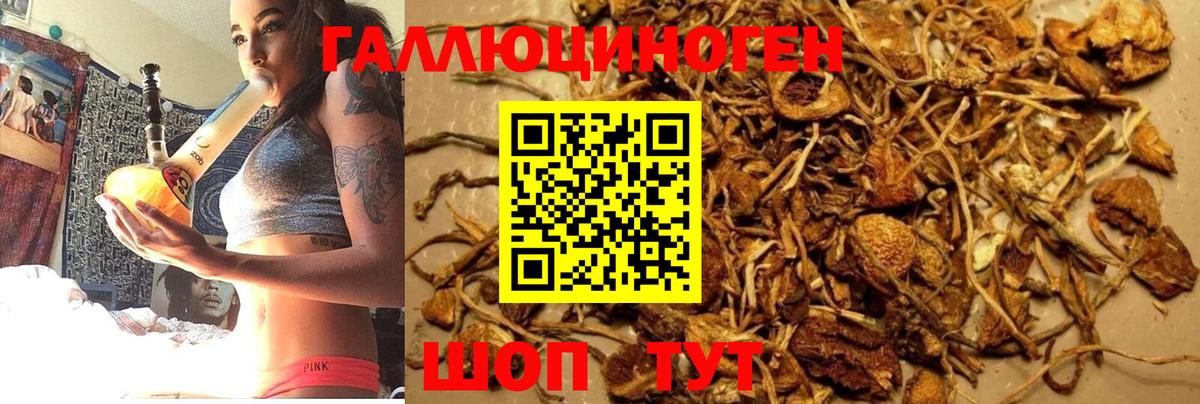 купить  цена  Вход с VPN  Азов  Галлюциногенные грибы GOLDEN TEACHER 