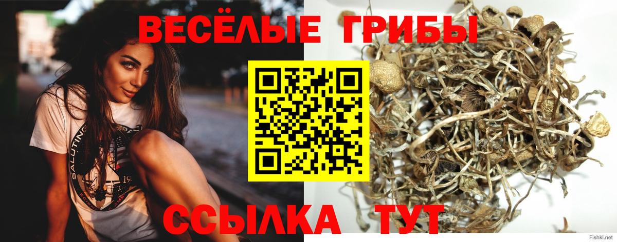 Галлюциногенные грибы мухоморы Азов